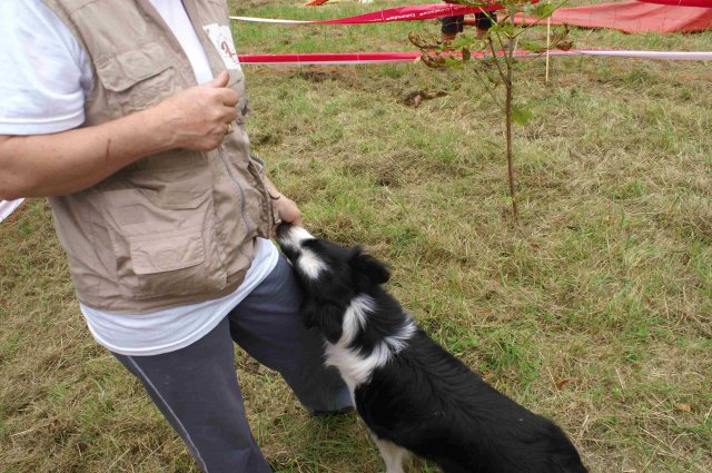 foire-haricots 2011-09-17et18